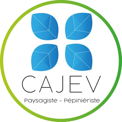 logo CAJEV