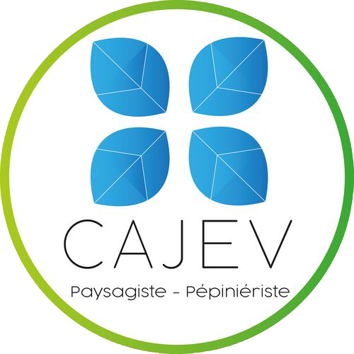 logo CAJEV logo CAJEV