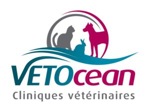 logo vetocean