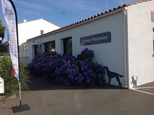 CLINIQUE VETERINAIRE DES MILLE PATTES